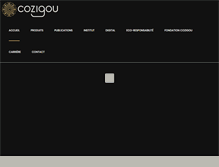 Tablet Screenshot of cozigou-sa.com
